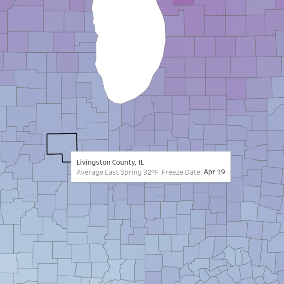 Freeze Date Tool Screenshot