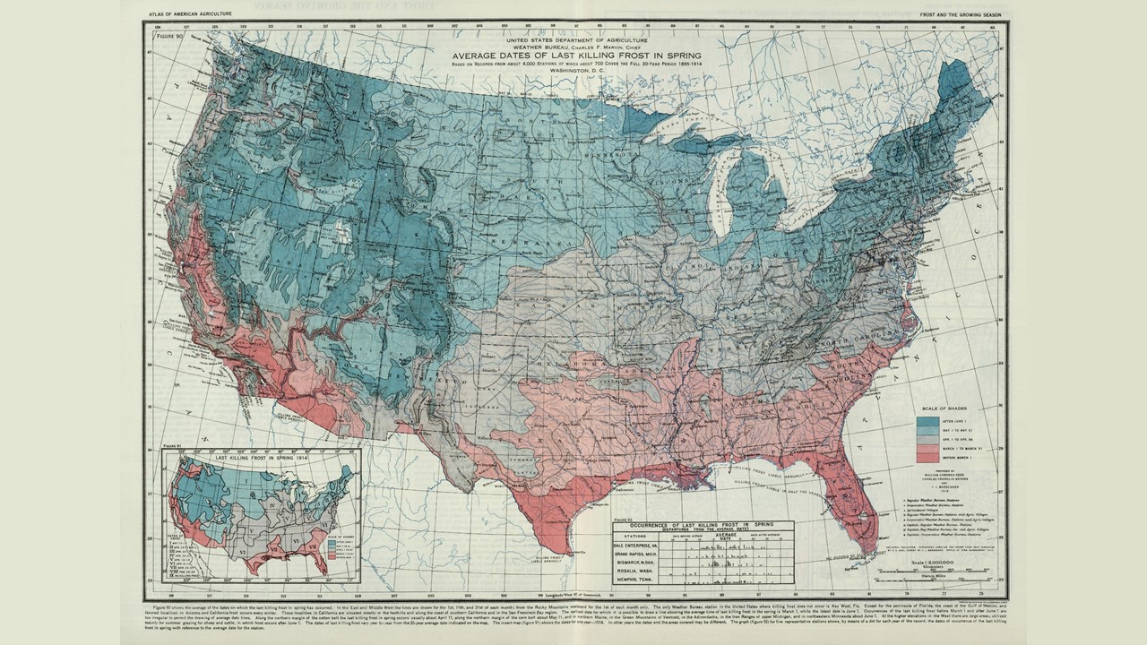 1916 Killing Frost