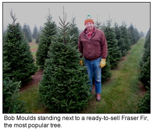 Bob Moulds and a Fraser Fir