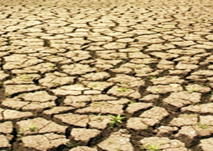expanse of dry and cracked soil